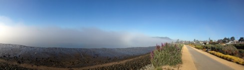 Tam, sun, fog, we have it all. 